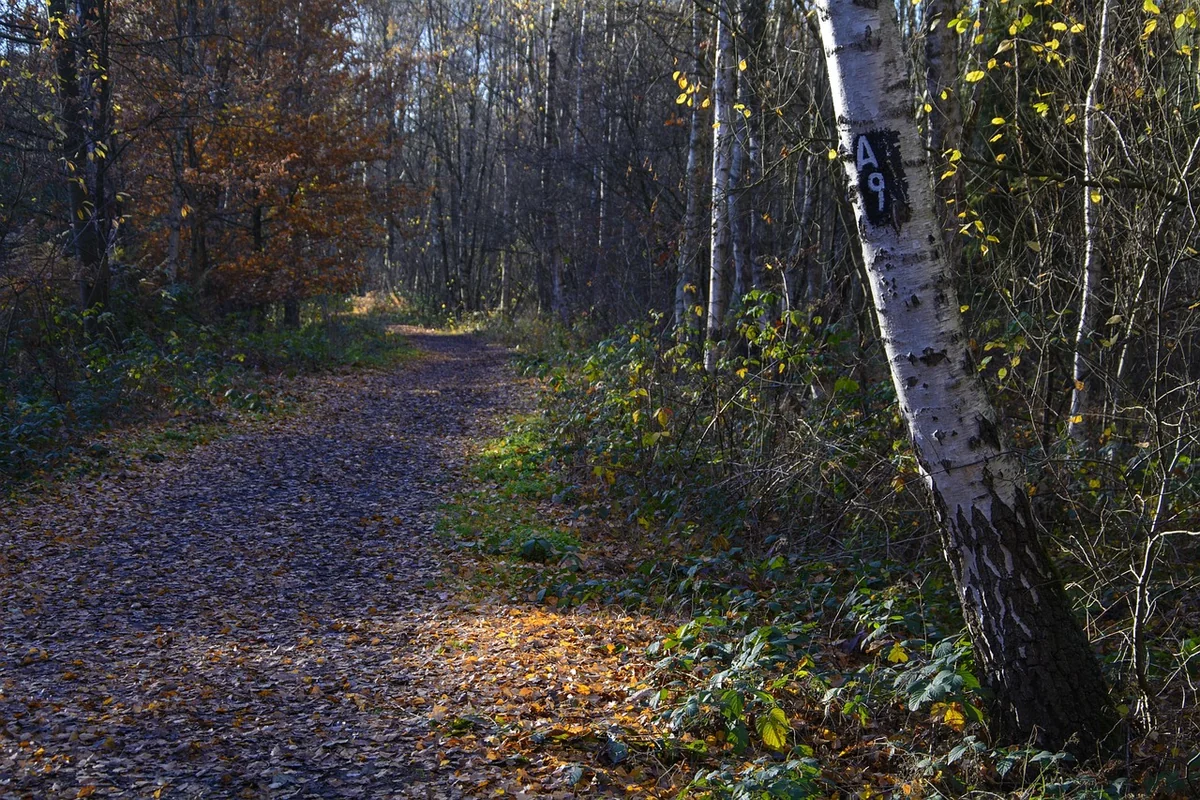 Premier réflexe : la confidentialité absolue