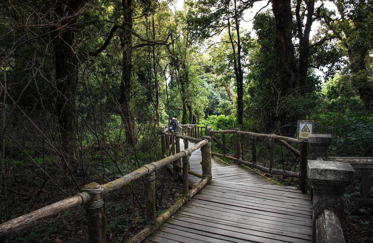 Intégration et automatisation : la clé secrète